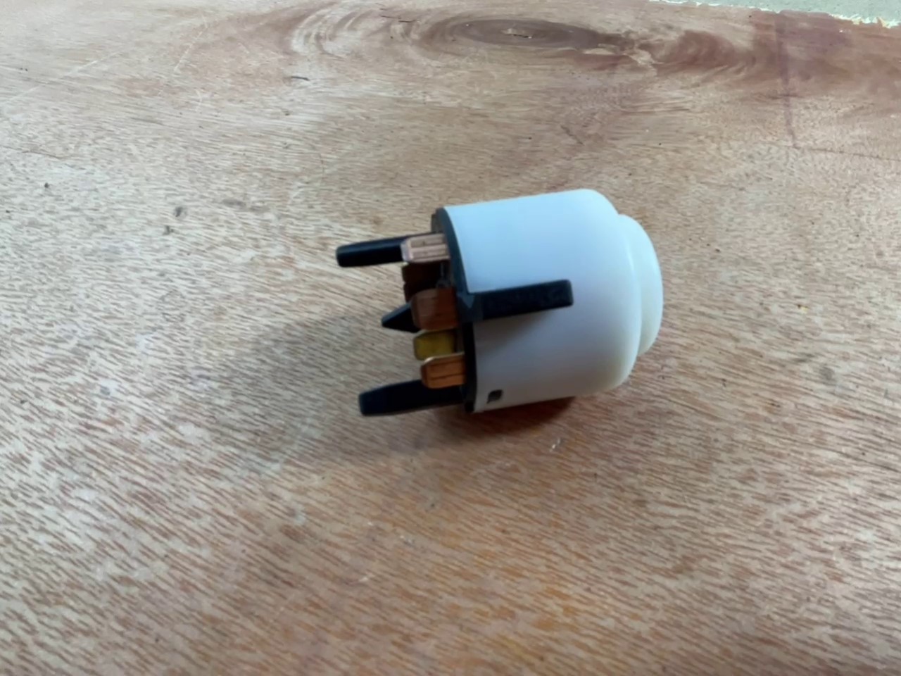 2022-01-26 140958.jpg